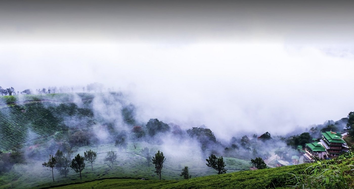 The same tea valley beside Grand Valley Resort with low cloud pouring across the slopes on a misty morning