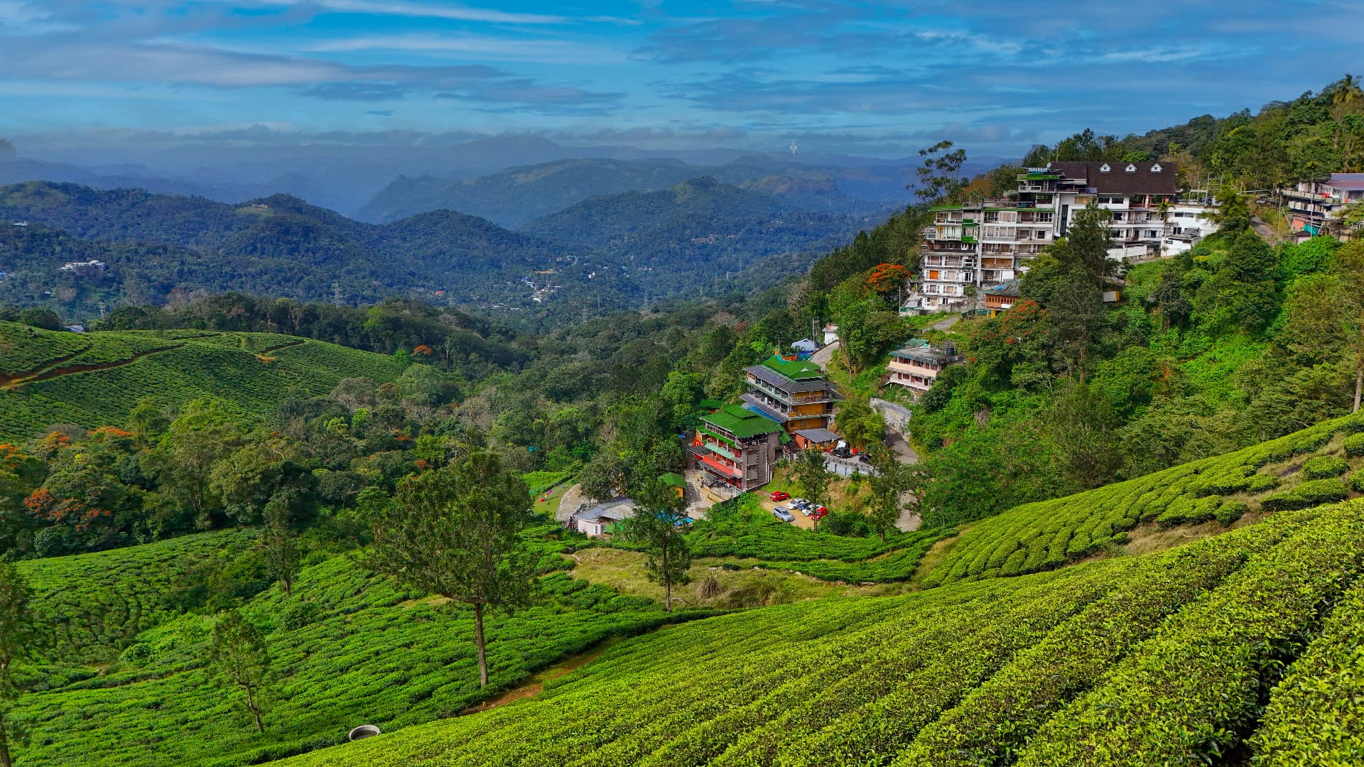 The tea valley below Grand Valley Resort on a clear Munnar afternoon, the slopes and the resort visible
