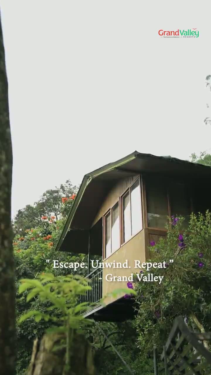 Mist drifting across the tea slopes and balconies at Grand Valley Resort, Munnar
