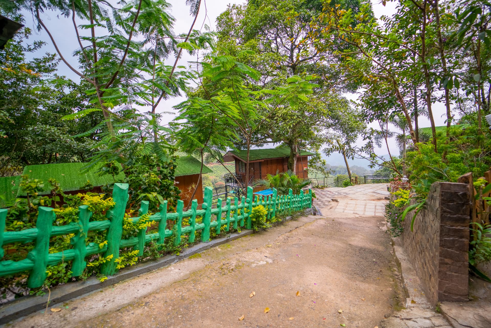 Walk the tea gardens at Grand Valley Resort, Munnar
